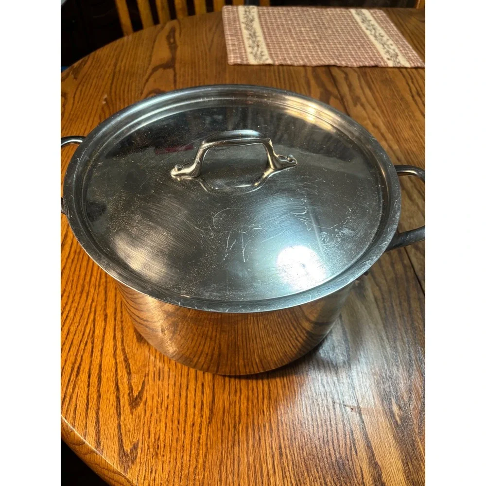 Williams Sonoma Stainless Steel Stock‎ Pot Dutch Oven Rapid Boil With Lid